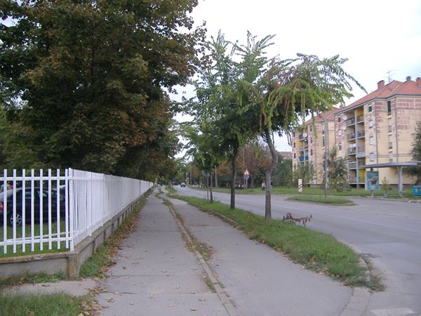 Pančevačka ulica :-)