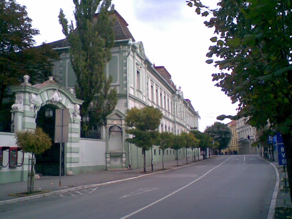 Zrenjanin - down town