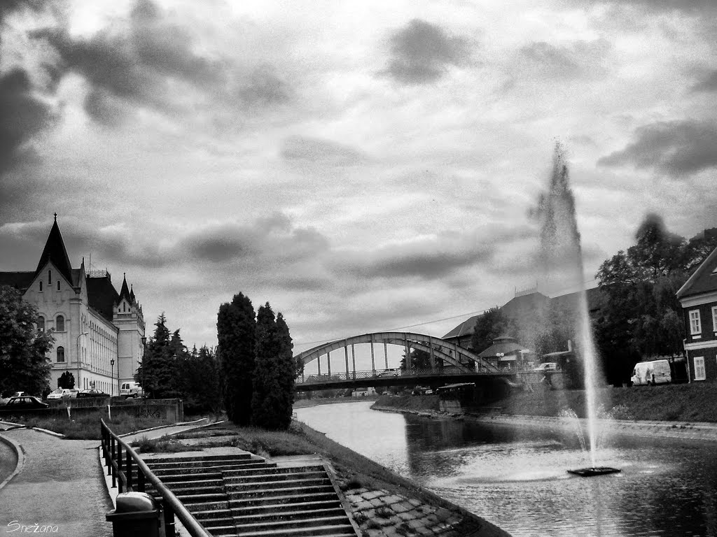 A cloudy day