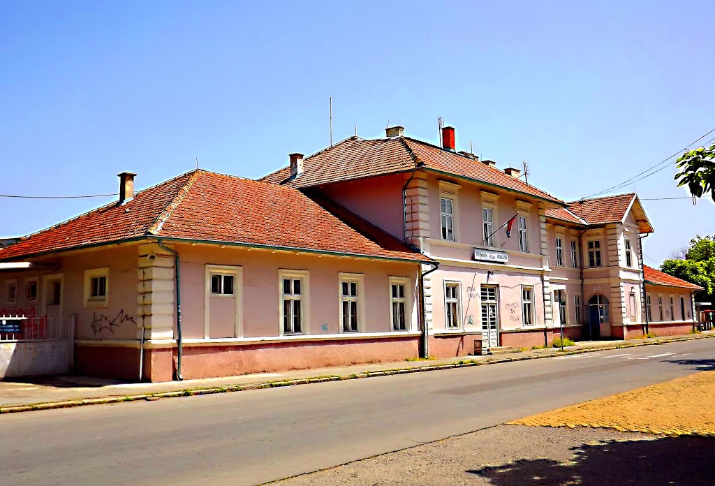 Железничка Станица Зрењанин