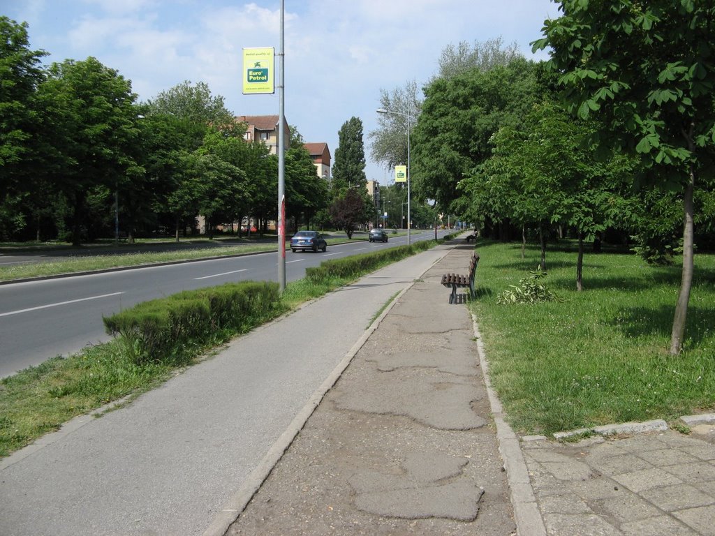 Novi Sad, Bulevar Jaše Tomića