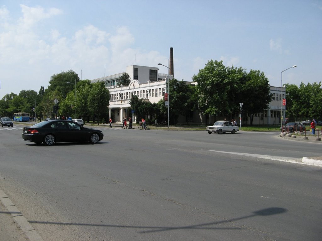 Novi Sad, ulica Hajduk Veljkova i Novosadskog sajma