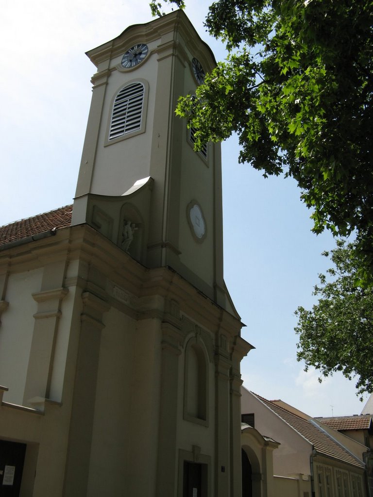 Novi Sad, Župa svetog Roka, ulica Futoška