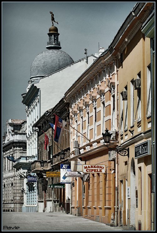 Novi Sad