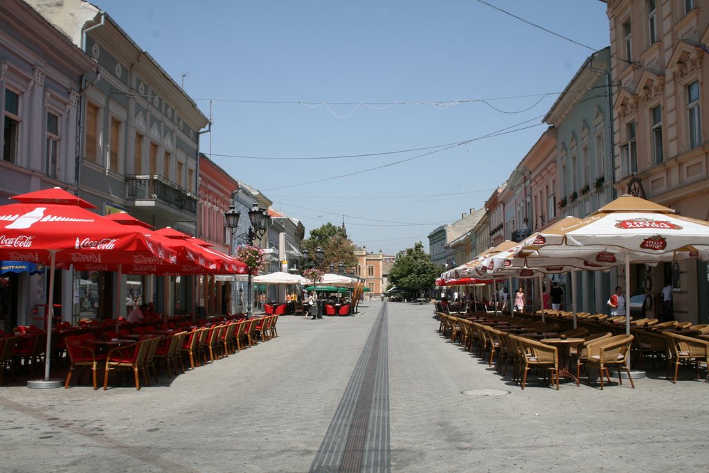 Zmaj Jovina ulica, Novi Sad