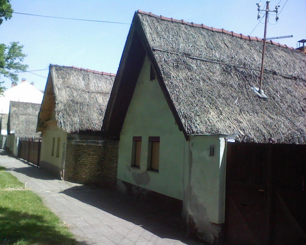 Ulica KRALJEVIĆA MARKA,Novi Sad