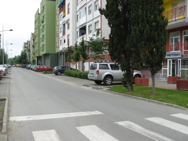 Novi Sad, ulica Kolo Srpskih Sestara