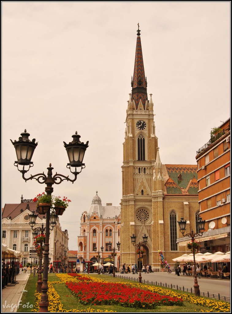 Novi Sad