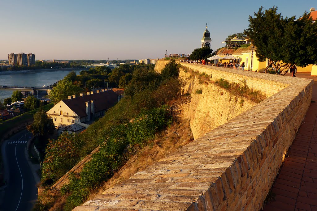 Petrovaradin