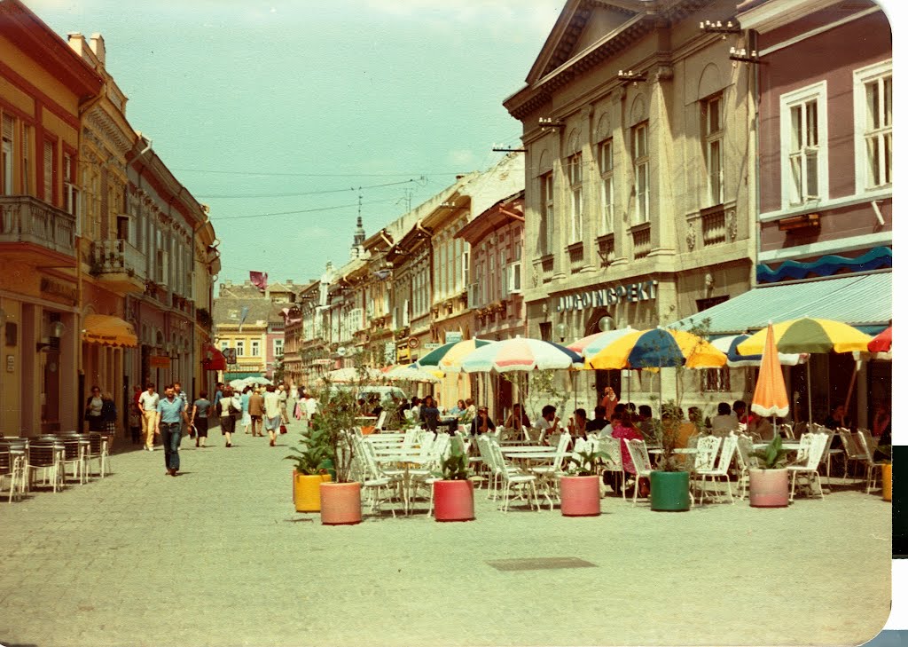 Centro Novid Sad, Servia - 1983 -  Ex Yugoslavia