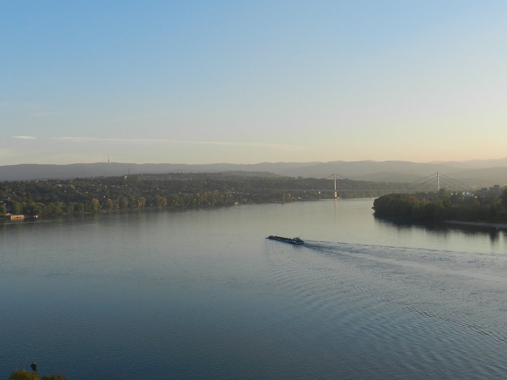 DUNAV  I  MOST  SLOBODE