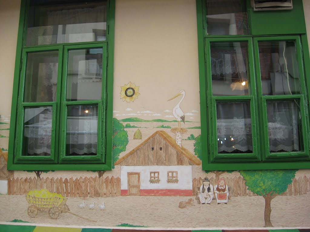 U Novom Sadu...hej!