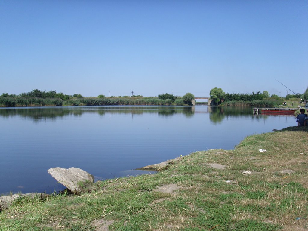 Jegrička