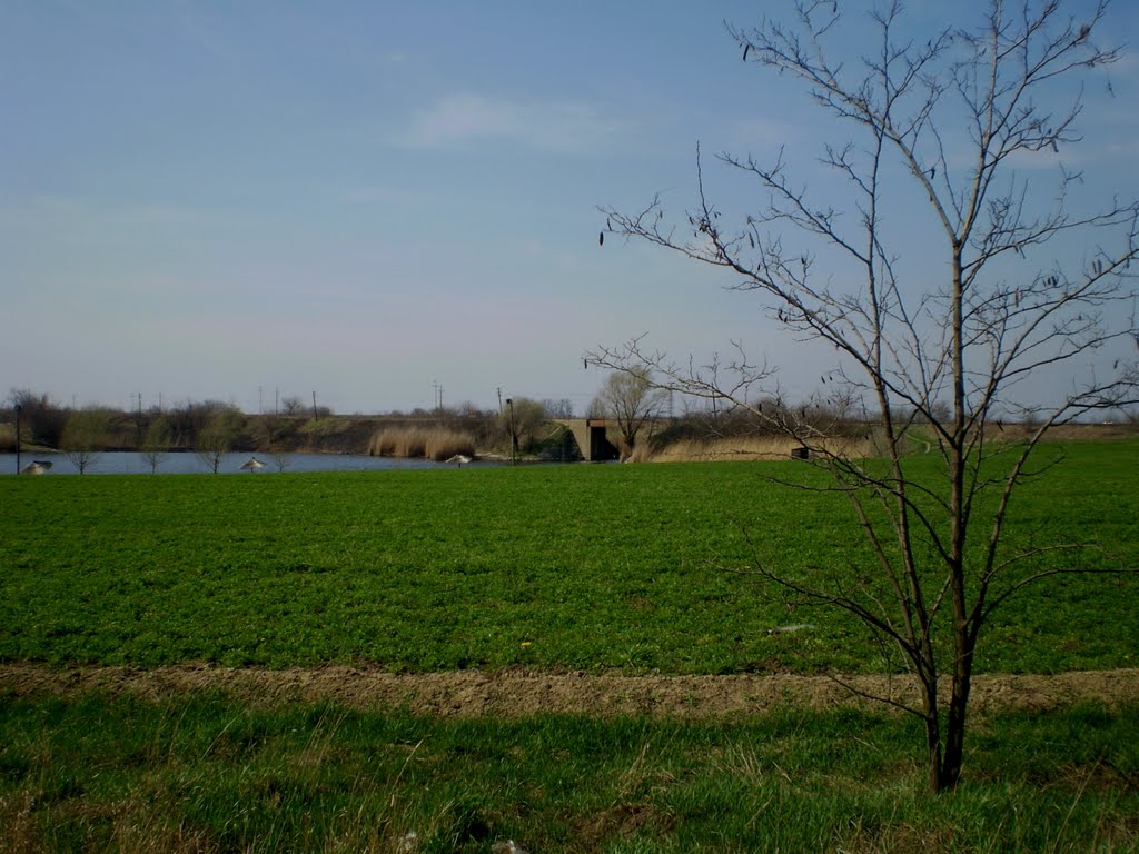 Ðurđevo