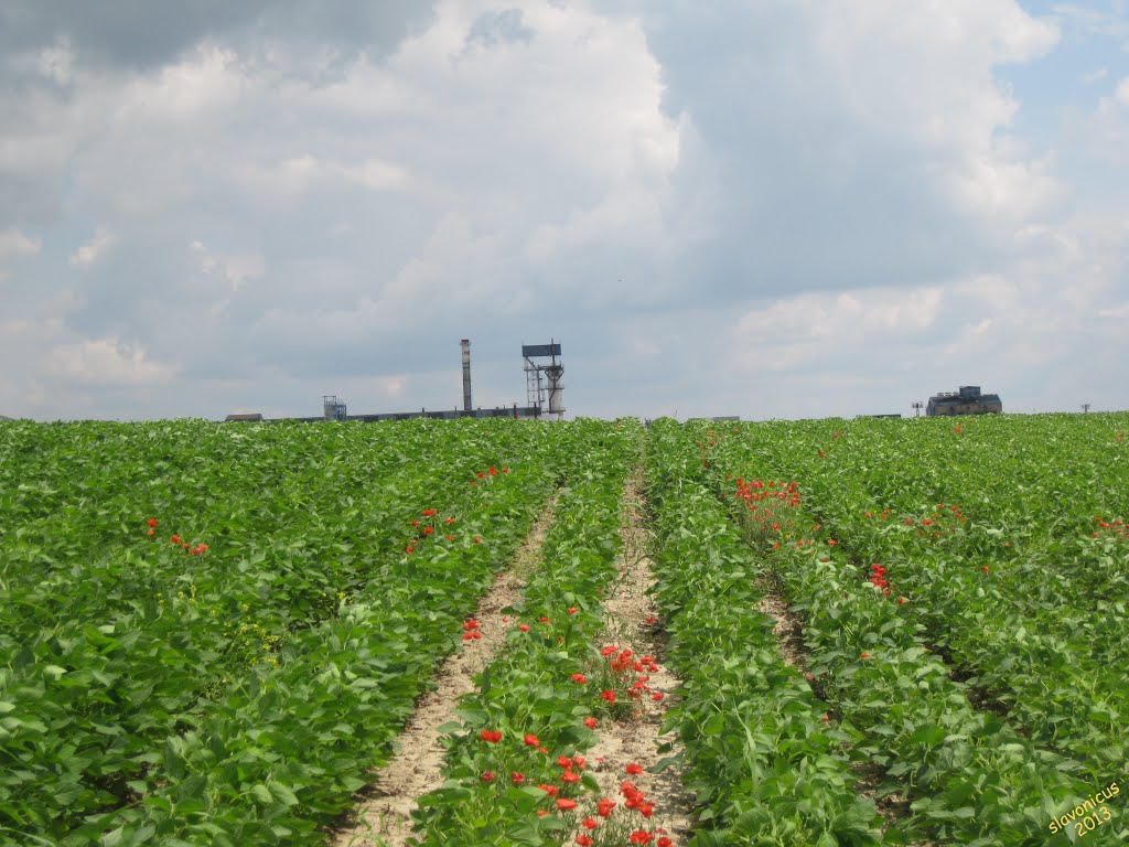 Zelena industrija - Green industry