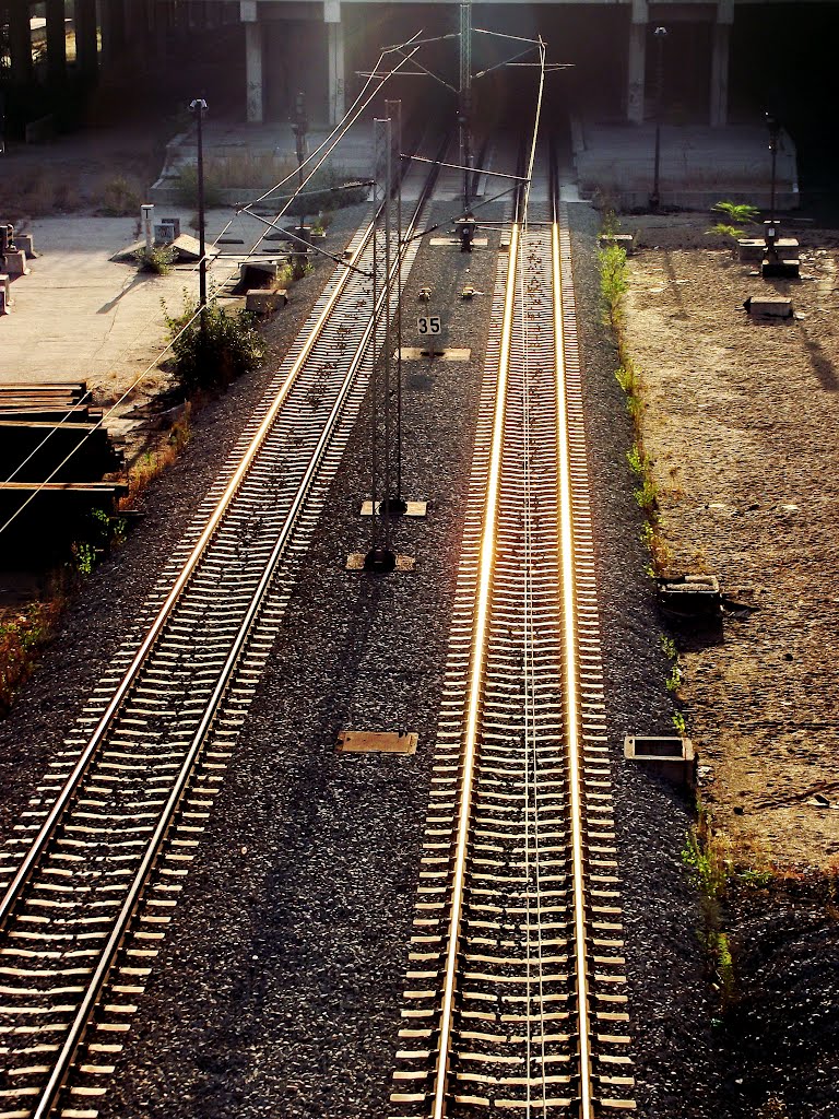 Fast tracks