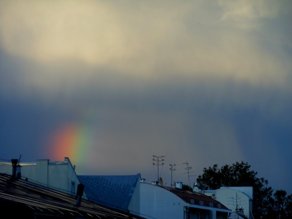 After the rain
