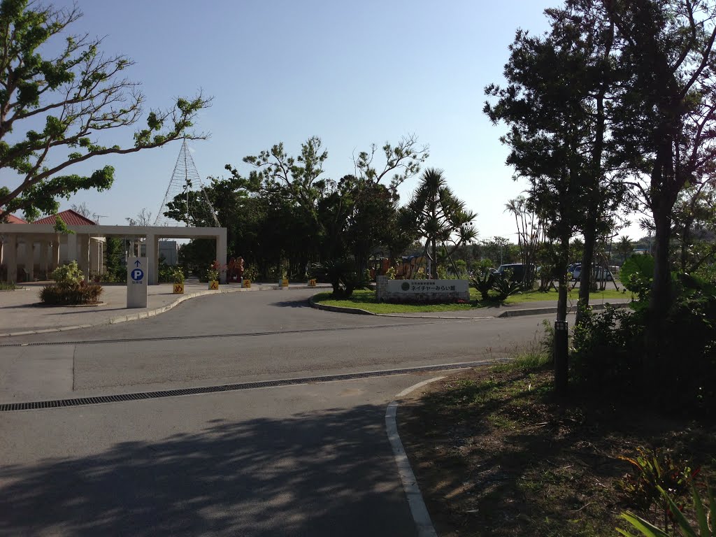 自然体験学習施設　ネイチャーみらい館