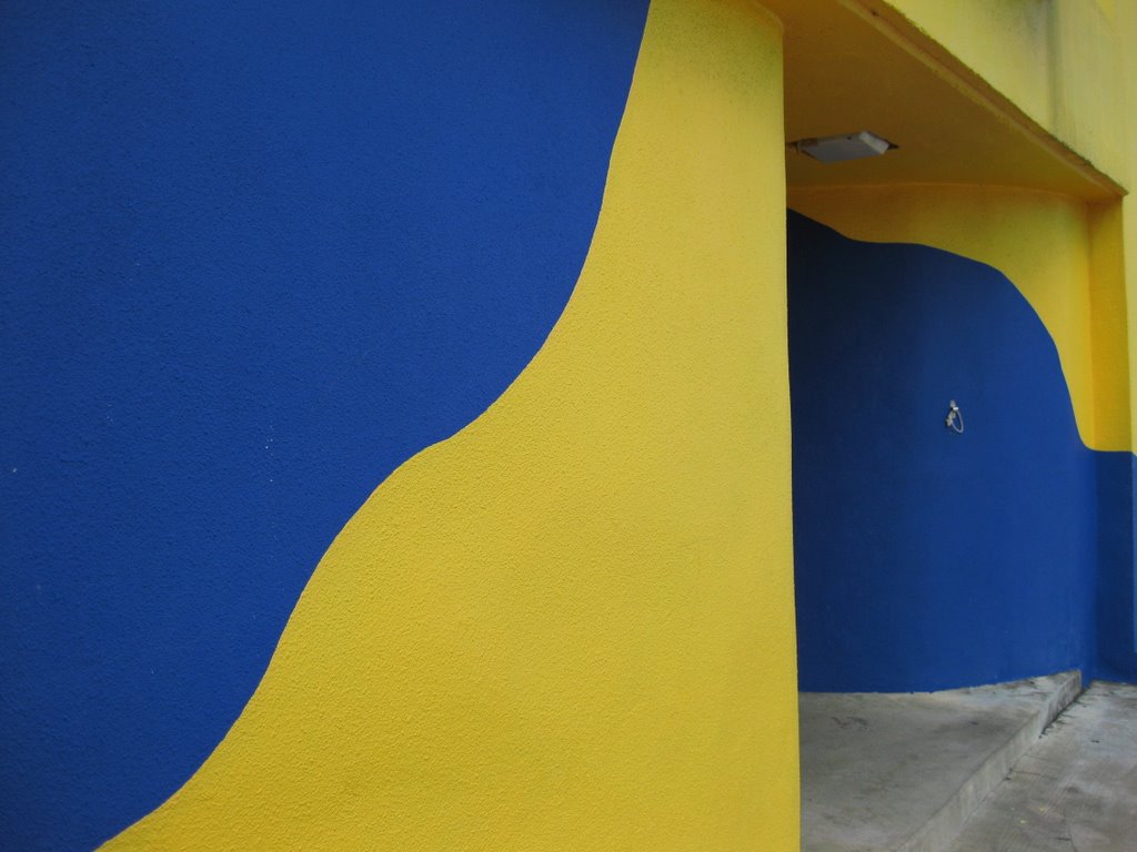 Blue & Yellow