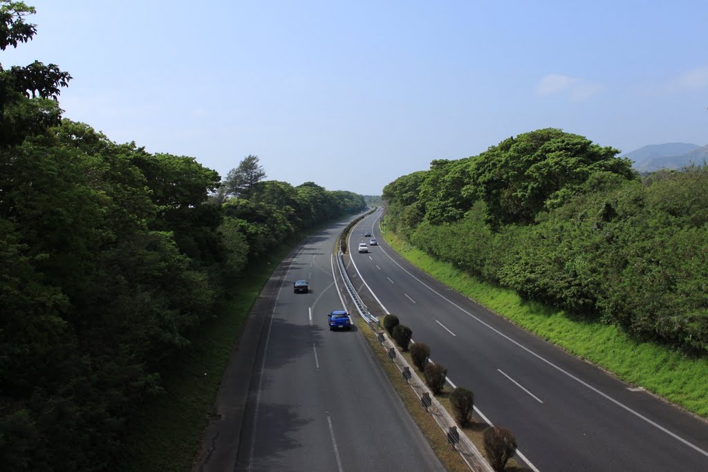 沖縄自動車道／沖縄県国頭郡金武町