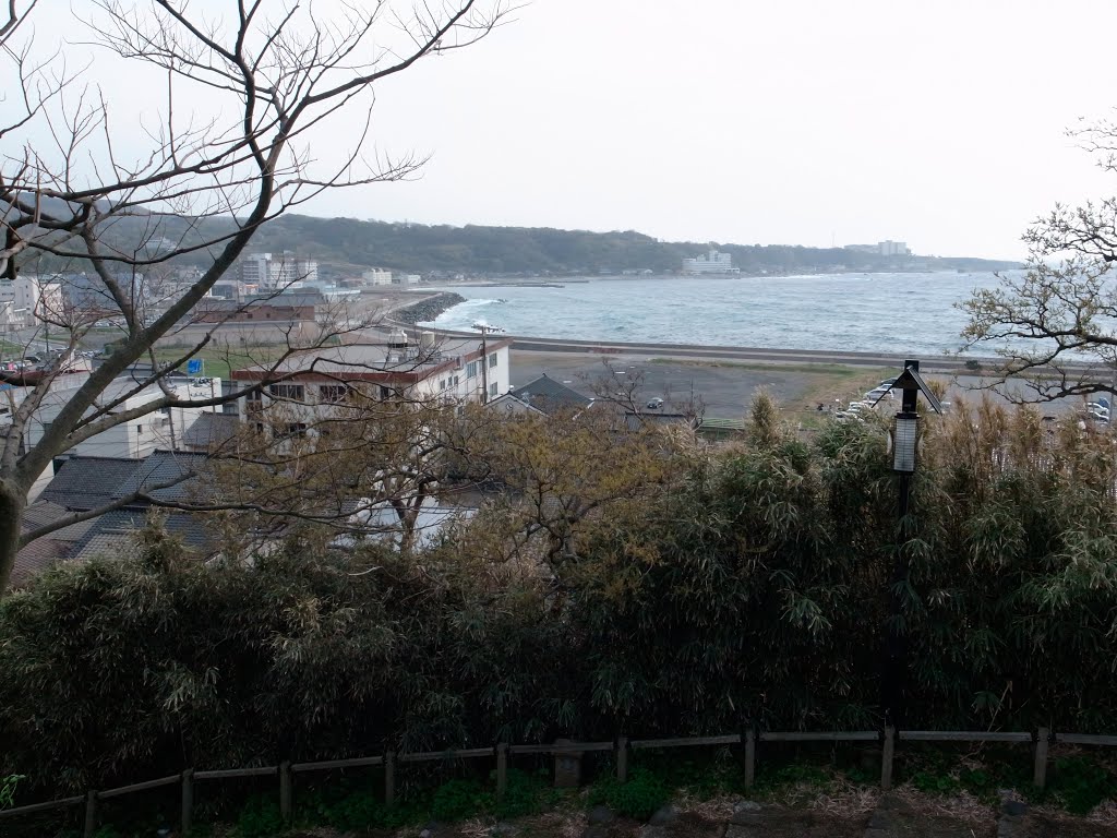 西坂