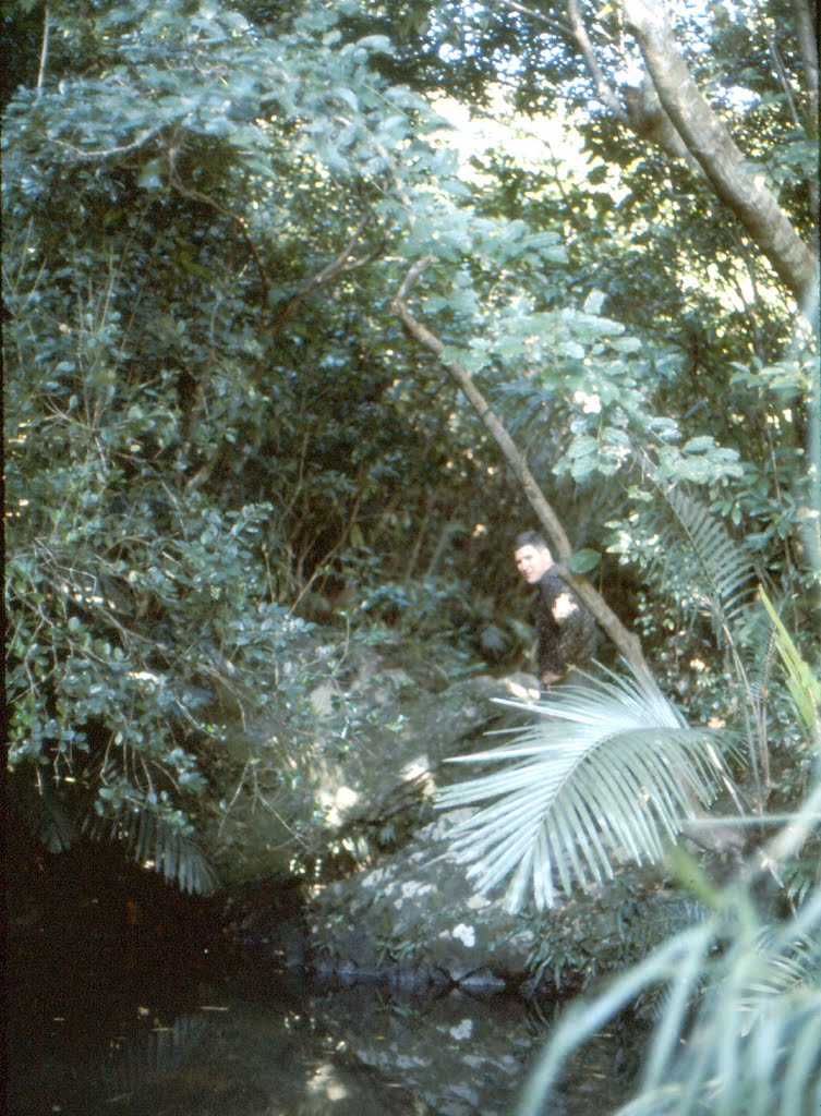 1LT Orvil Hill in jungle