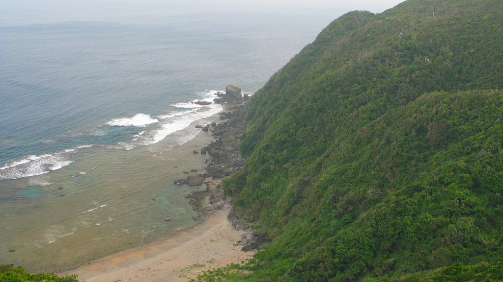 高江の東海岸 東村