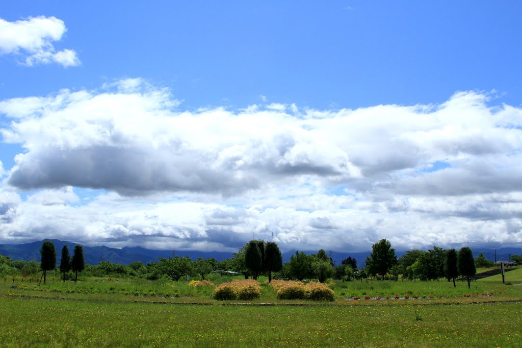 最上川せせらぎ公園