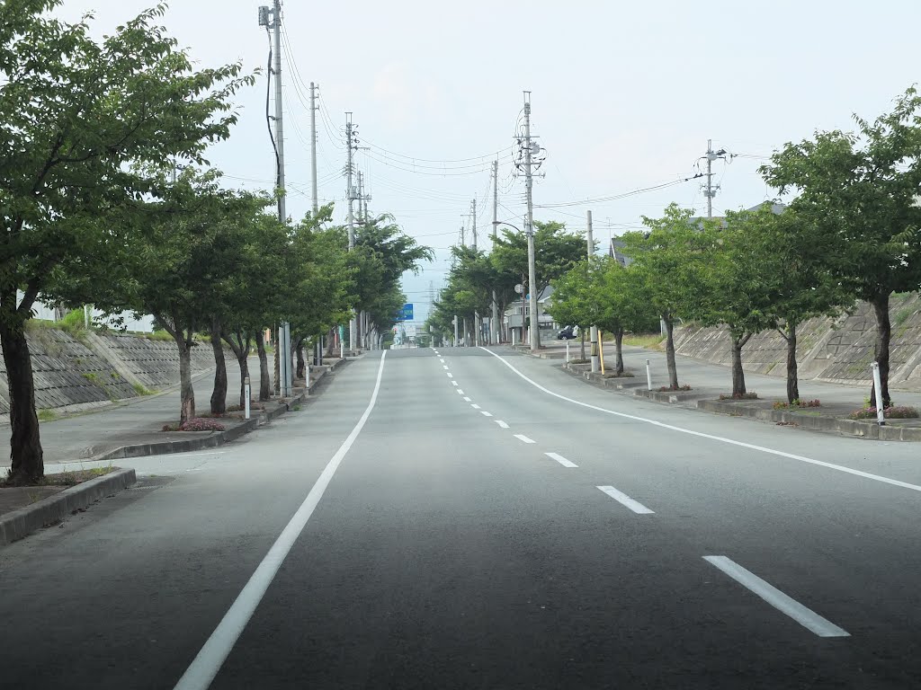 Streets of Sagae Cherry Spa Section