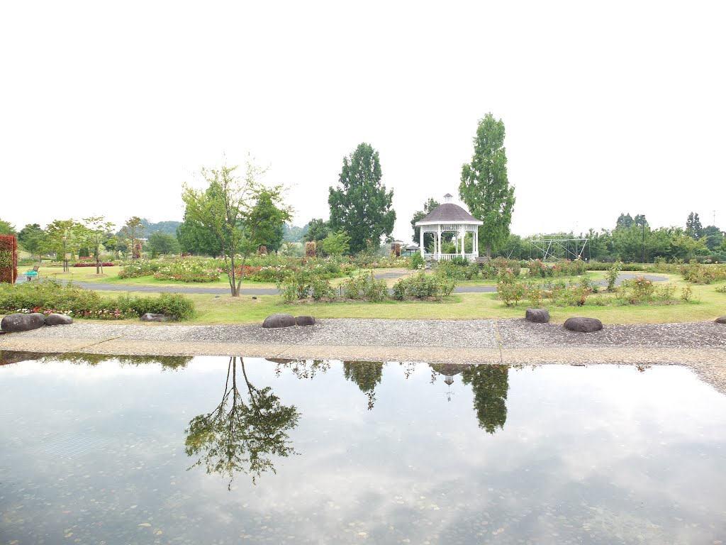 Cherry Spa Park
