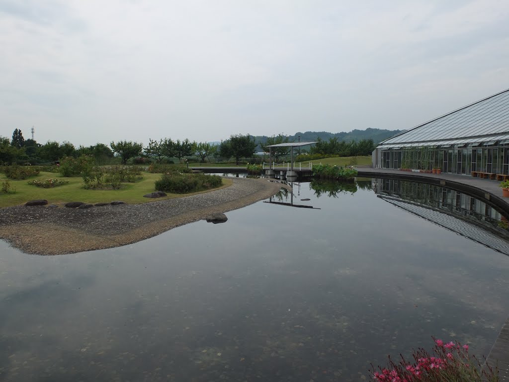 Small Park Pond
