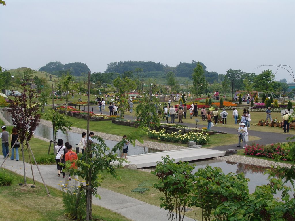 Flowers festival in Sagae（花咲かフェアINさがえ）