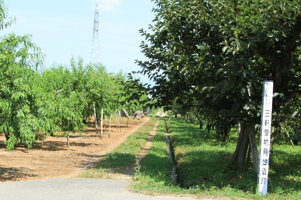 中山町古代集落跡三軒屋物見台遺跡