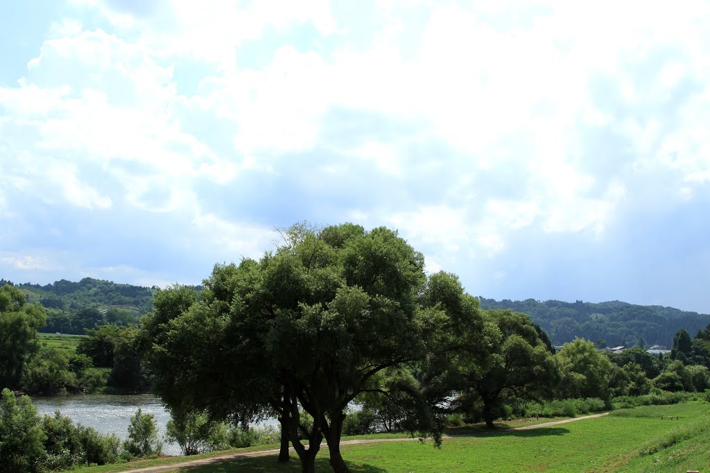 最上川