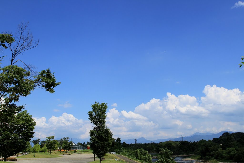 最上川ふるさと総合公園