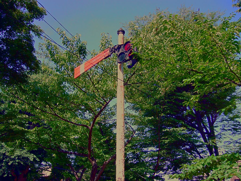 Daini Park, Yamagata City 山形市 第二公園 [ys-waiz.net]