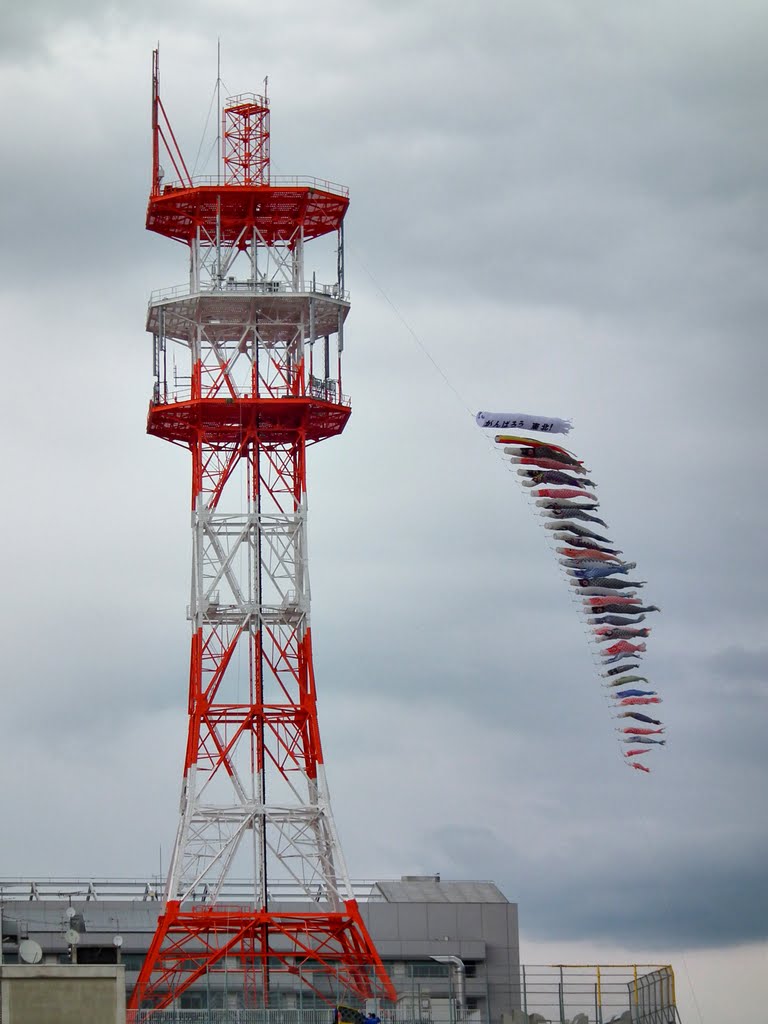 Carp streamer "Koinobori" NTT東日本山形支店 本町ビル 「ビルより高い鯉のぼり」