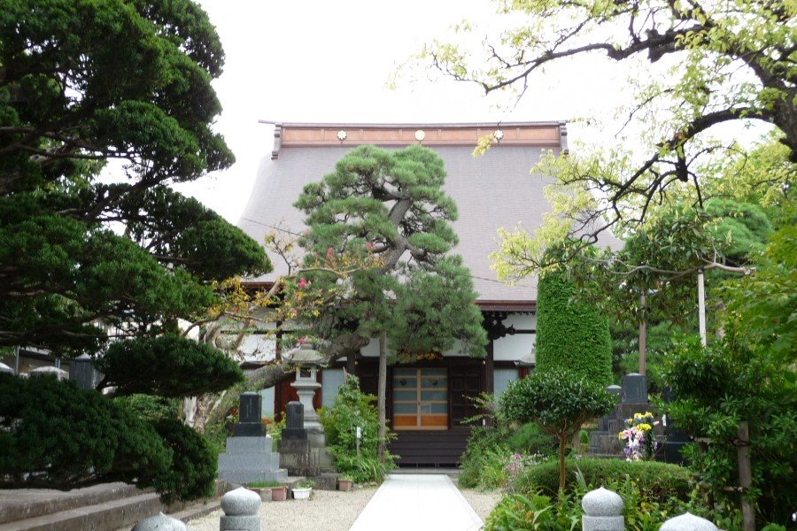 三寶寶 見聞寺