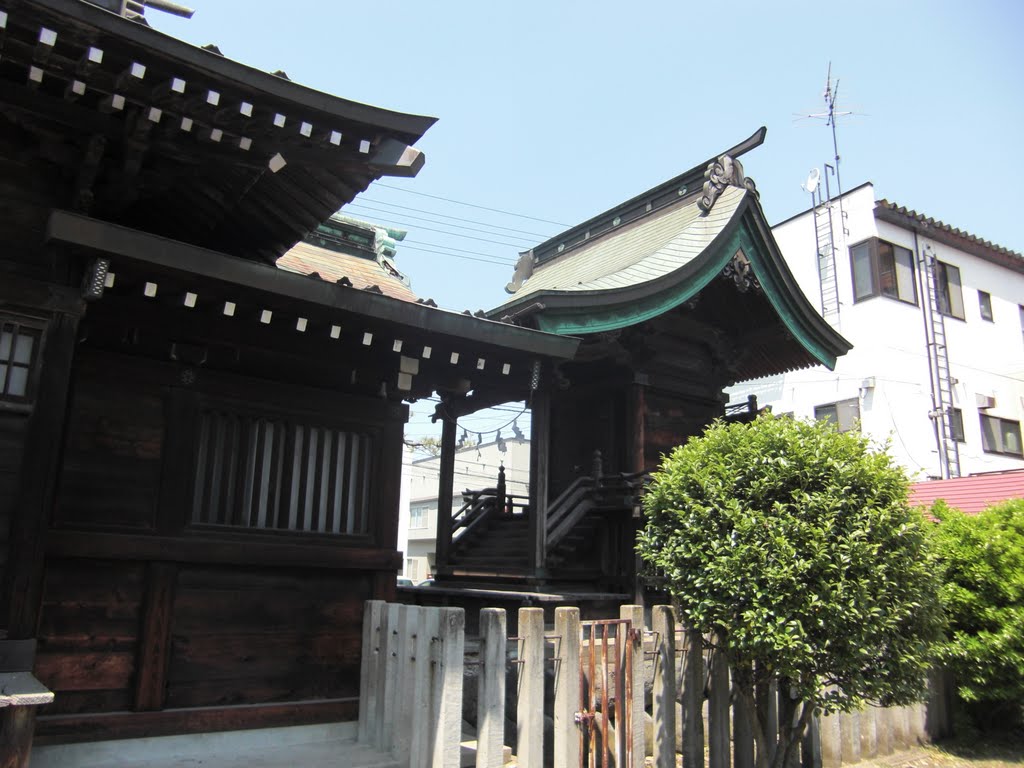 日枝神社御本殿、Hie jinja shrine honden