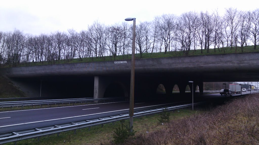 Wildwissel Terlet, zuidzijde