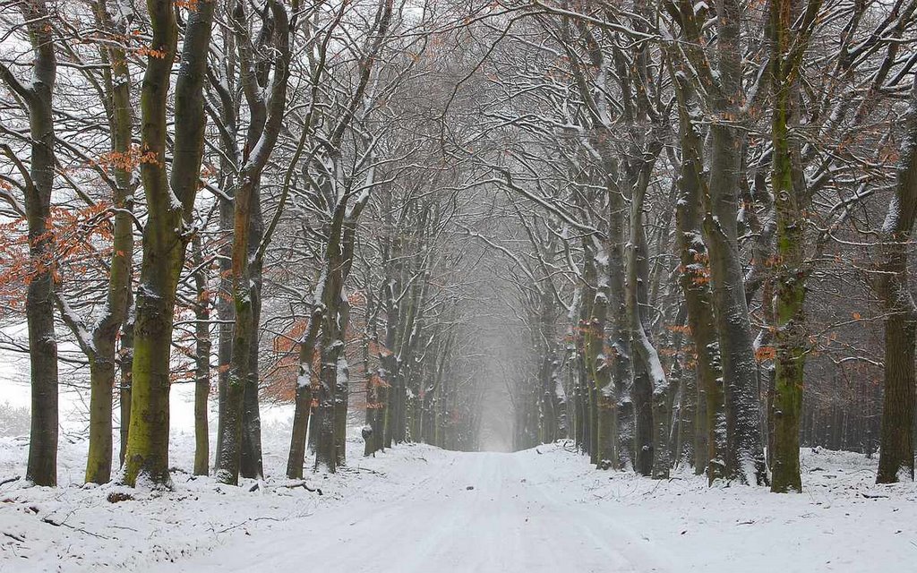 Oude Eerbeekseweg
