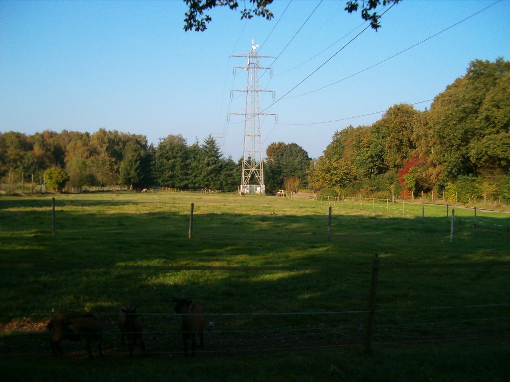 Groenendaal