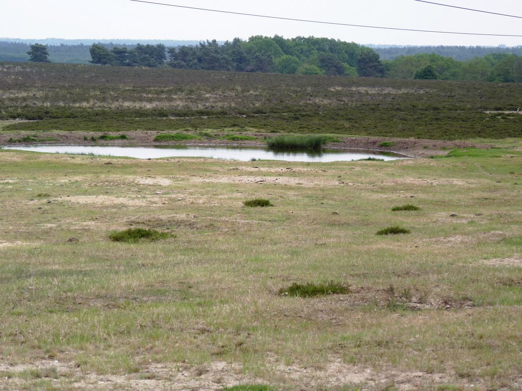 Drainagesysteem van het ecoduct