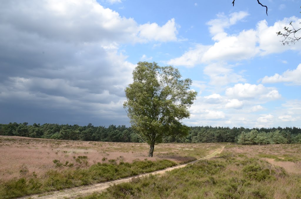Impressive rainclouds above Deelerwoud at 1 July 2012