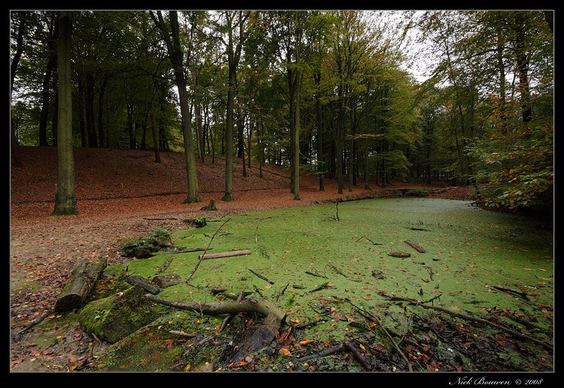 Fall Colors at Heuven