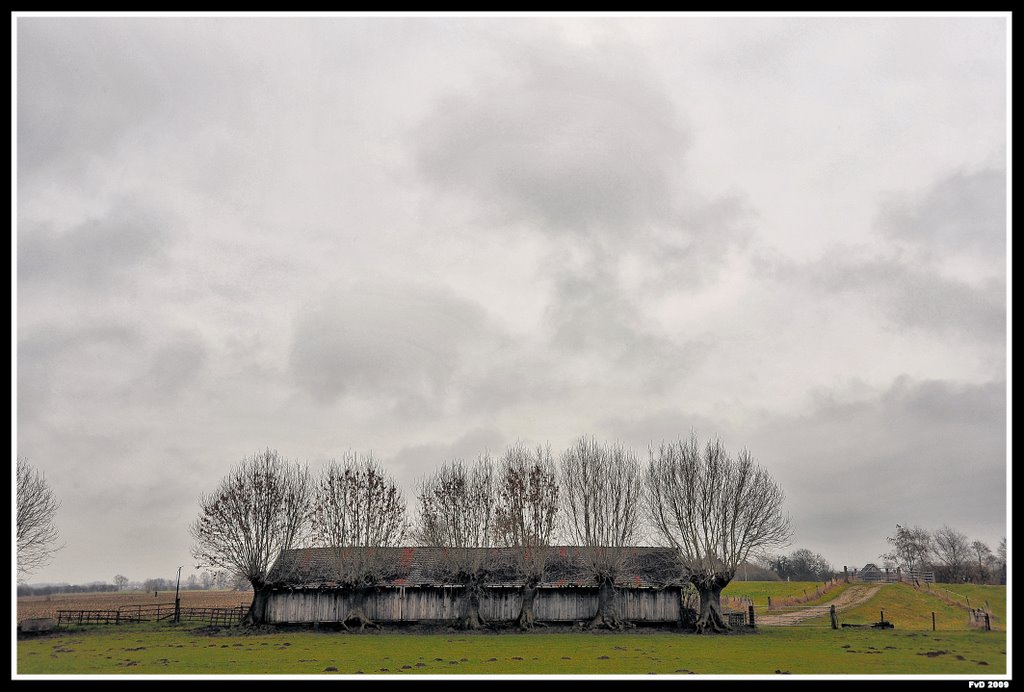 Lathum; Koppenwaard