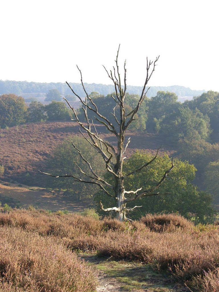 Natuurpark De Posbank, Velp Anrhem