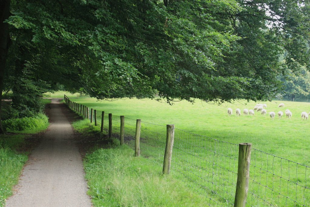 Lekker onder de bomen