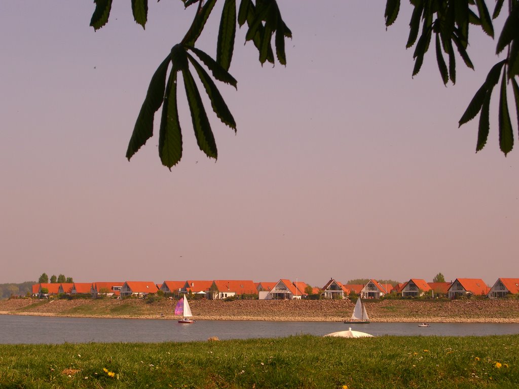 Rhederlaagse meren