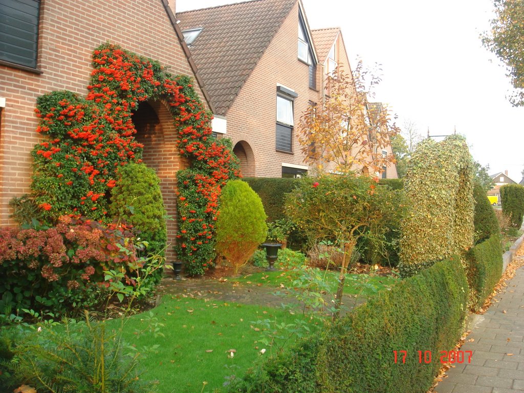 House in Rheden 6